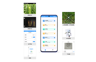 盐城市小麦表型检测仪IN-XM04
